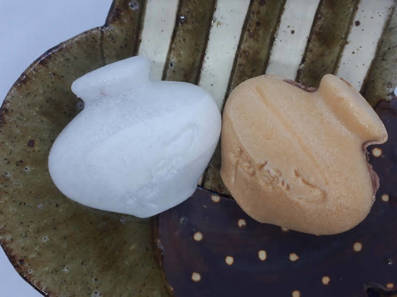 f:id:pooh70inu:20210611221331j:plain