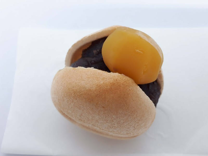 f:id:pooh70inu:20220118210752j:plain