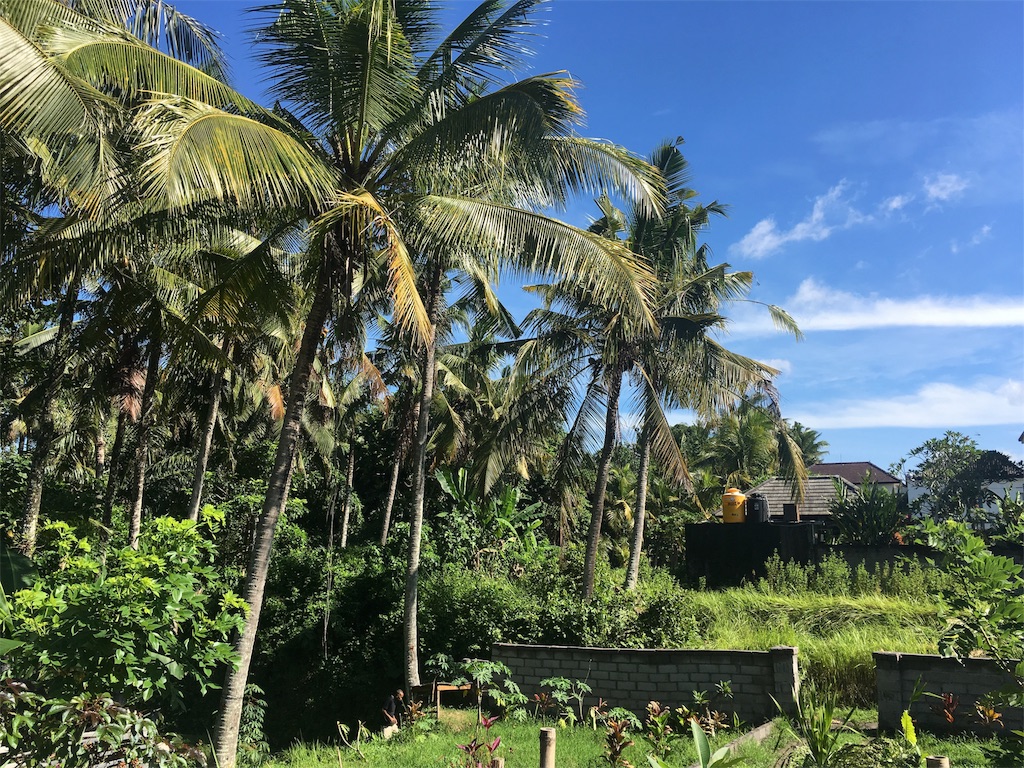 f:id:poohnya:20180401182528j:image f:id:poohnya:20180401182528j:image
