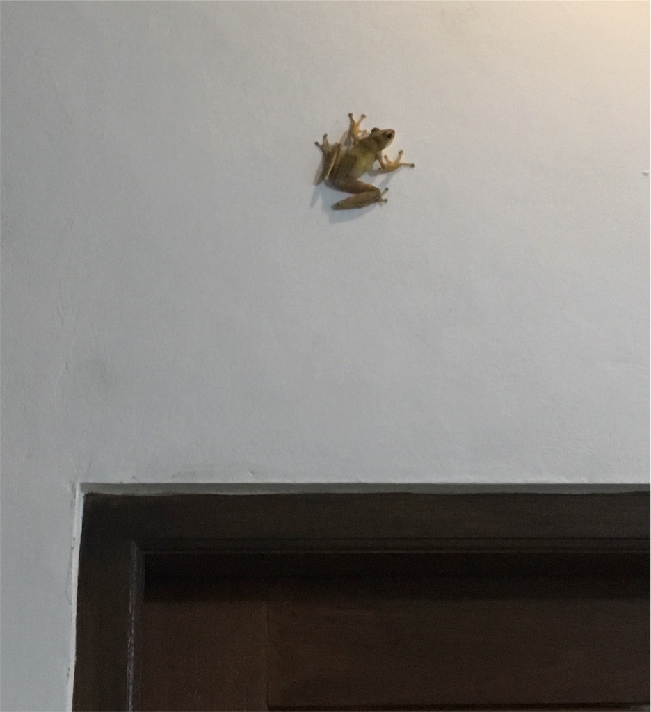 f:id:poohnya:20180401183718j:image f:id:poohnya:20180401183718j:image