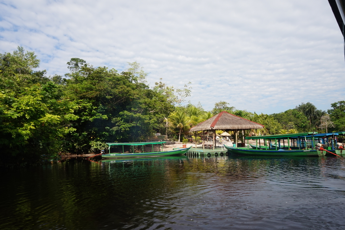 ブラジル国内旅行 宿泊先はジャングルの中のホテル アマゾン エコパークジャングルロッジについて 転勤妻プージャの日記