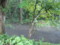 20110731140103