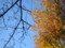 20111217154202