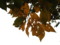 20121025124728