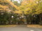 20121112092527