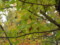 20121112092534