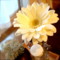 20150219071641