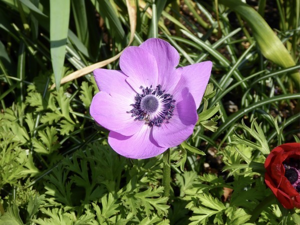 f:id:poolame:20190327145634j:plain f:id:poolame:20190327145634j:plain