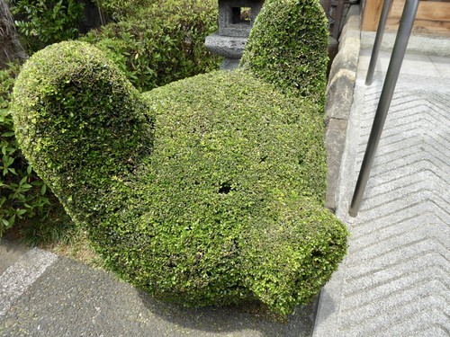 f:id:poolame:20190604213205j:plain