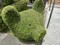 20190604213205