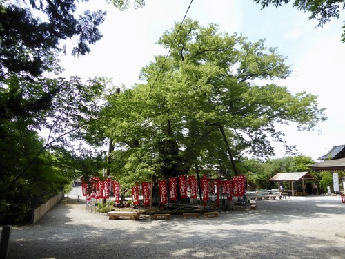f:id:poolame:20190604215645j:plain