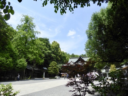 f:id:poolame:20190604220607j:plain
