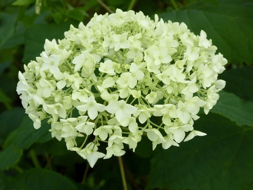 f:id:poolame:20190611145410j:plain f:id:poolame:20190611145410j:plain