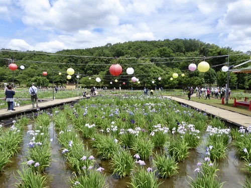 f:id:poolame:20190611150919j:plain f:id:poolame:20190611150919j:plain