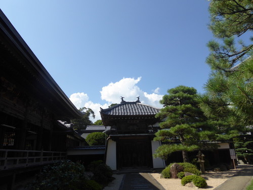 f:id:poolame:20190829134125j:plain f:id:poolame:20190829134125j:plain