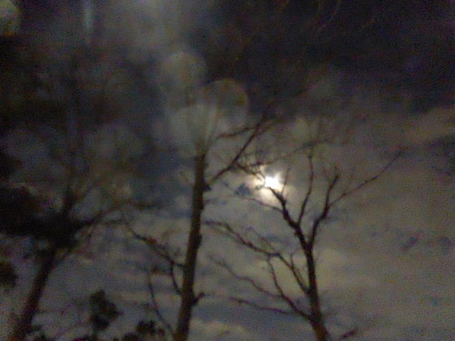 f:id:poolame:20190912080547j:plain