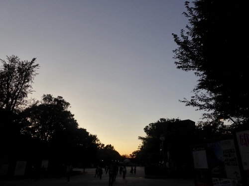 f:id:poolame:20191004225619j:plain f:id:poolame:20191004225619j:plain