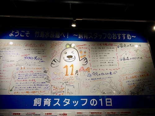 f:id:poolame:20191125140113j:plain f:id:poolame:20191125140113j:plain