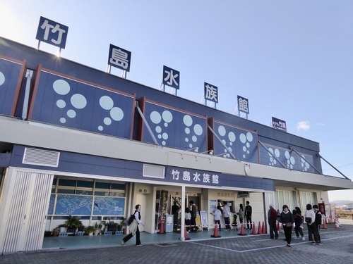 f:id:poolame:20191125140326j:plain f:id:poolame:20191125140326j:plain