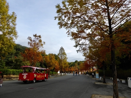 f:id:poolame:20191130222142j:plain