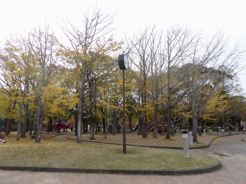 f:id:poolame:20191130222217j:plain