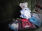 20200216102657