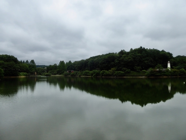 f:id:poolame:20200716210547j:plain