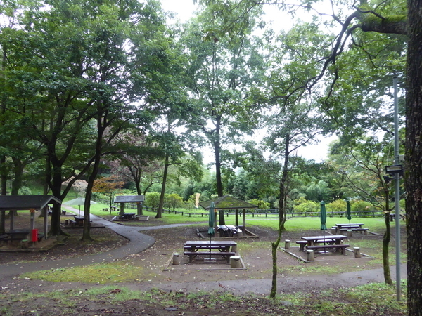 f:id:poolame:20200924163607j:plain