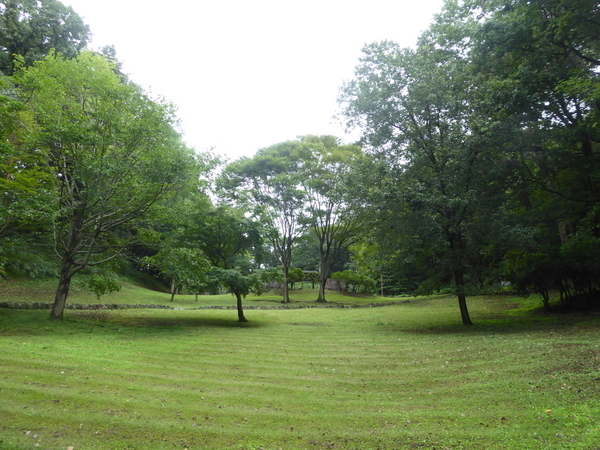 f:id:poolame:20200924163913j:plain