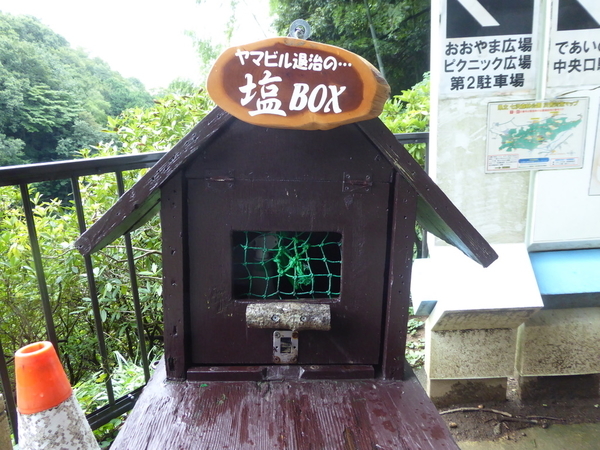 f:id:poolame:20200924163918j:plain
