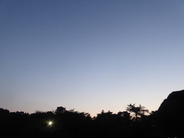 f:id:poolame:20201001190113j:plain