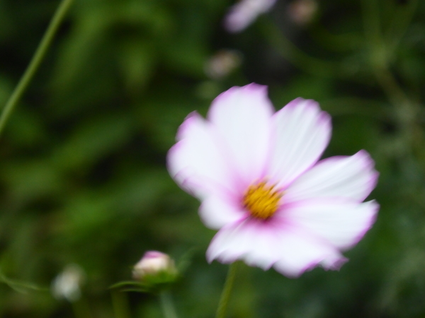 f:id:poolame:20201027171054j:plain