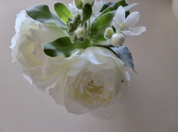 f:id:poolame:20201109123555j:plain