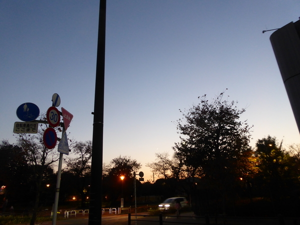 f:id:poolame:20201118074742j:plain