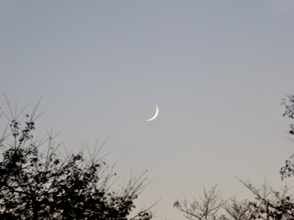 f:id:poolame:20201118074800j:plain