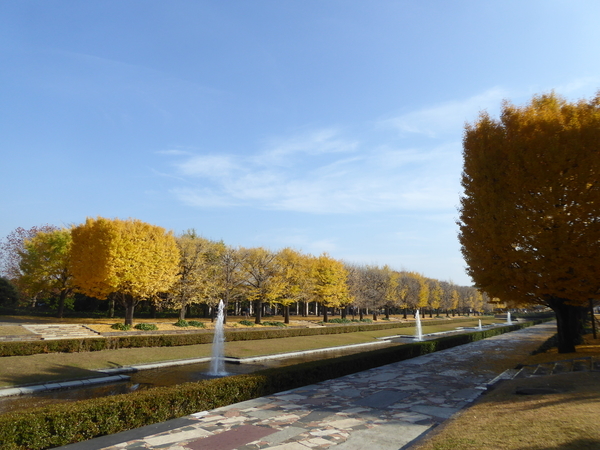 f:id:poolame:20201120113225j:plain