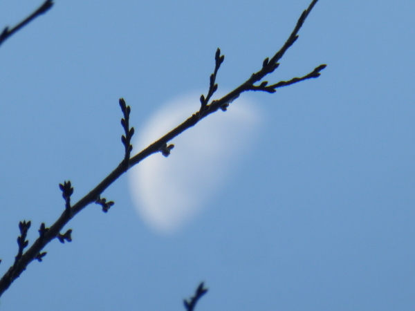 f:id:poolame:20201207104437j:plain