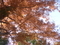 20201213150527
