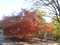 20201213150542
