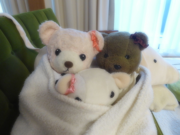 f:id:poolame:20201224111130j:plain