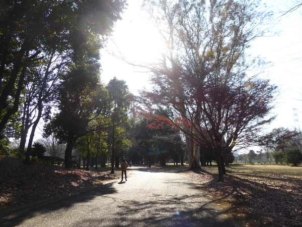 f:id:poolame:20201227164555j:plain