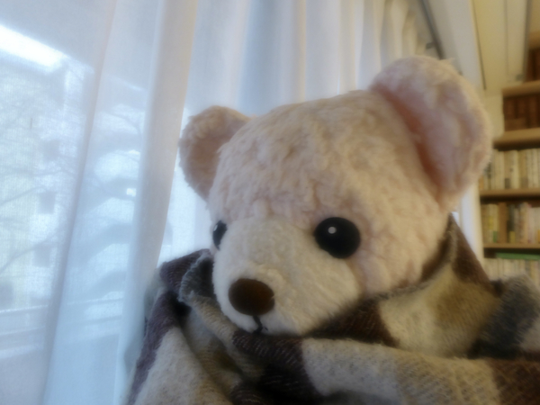 f:id:poolame:20210124082650j:plain
