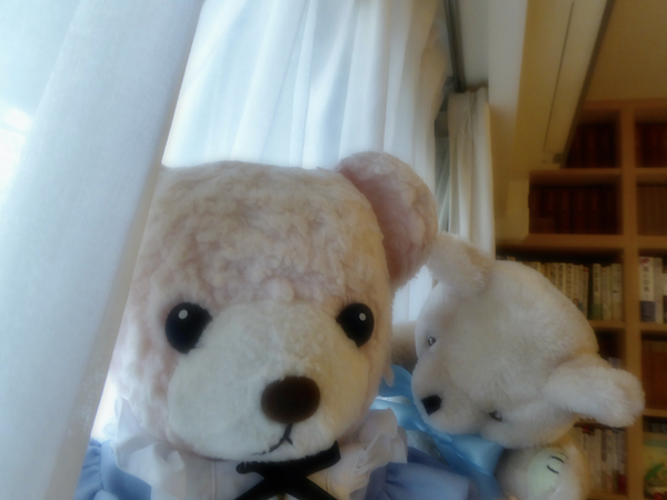 f:id:poolame:20210207082253j:plain