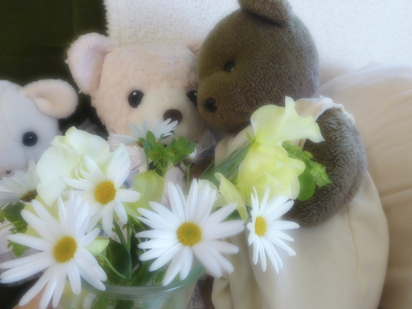 f:id:poolame:20210314142508j:plain