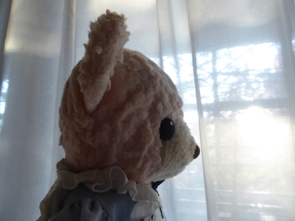f:id:poolame:20210411150040j:plain