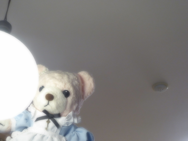 f:id:poolame:20210516080756j:plain