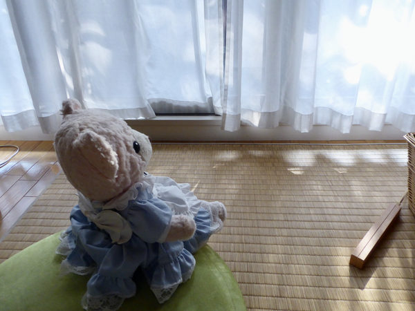f:id:poolame:20210624154308j:plain