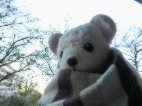 f:id:poolame:20211024074642j:plain