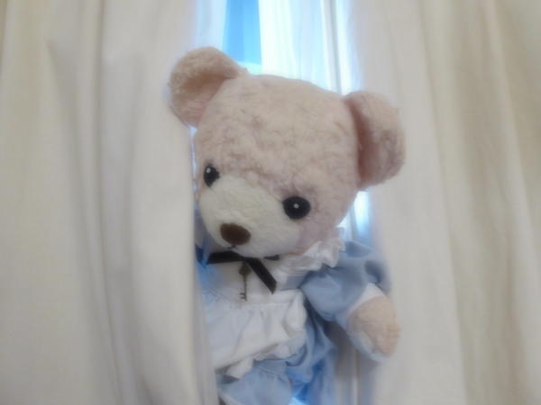 f:id:poolame:20211031074141j:plain