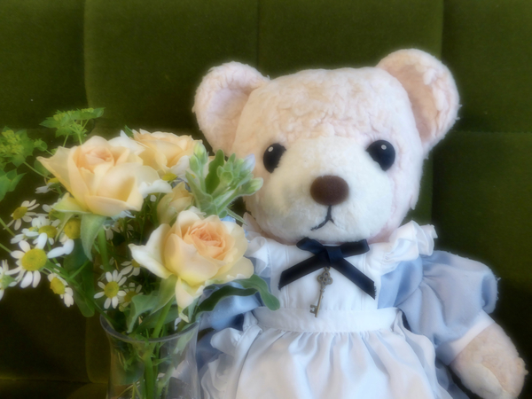 f:id:poolame:20211114082657j:plain